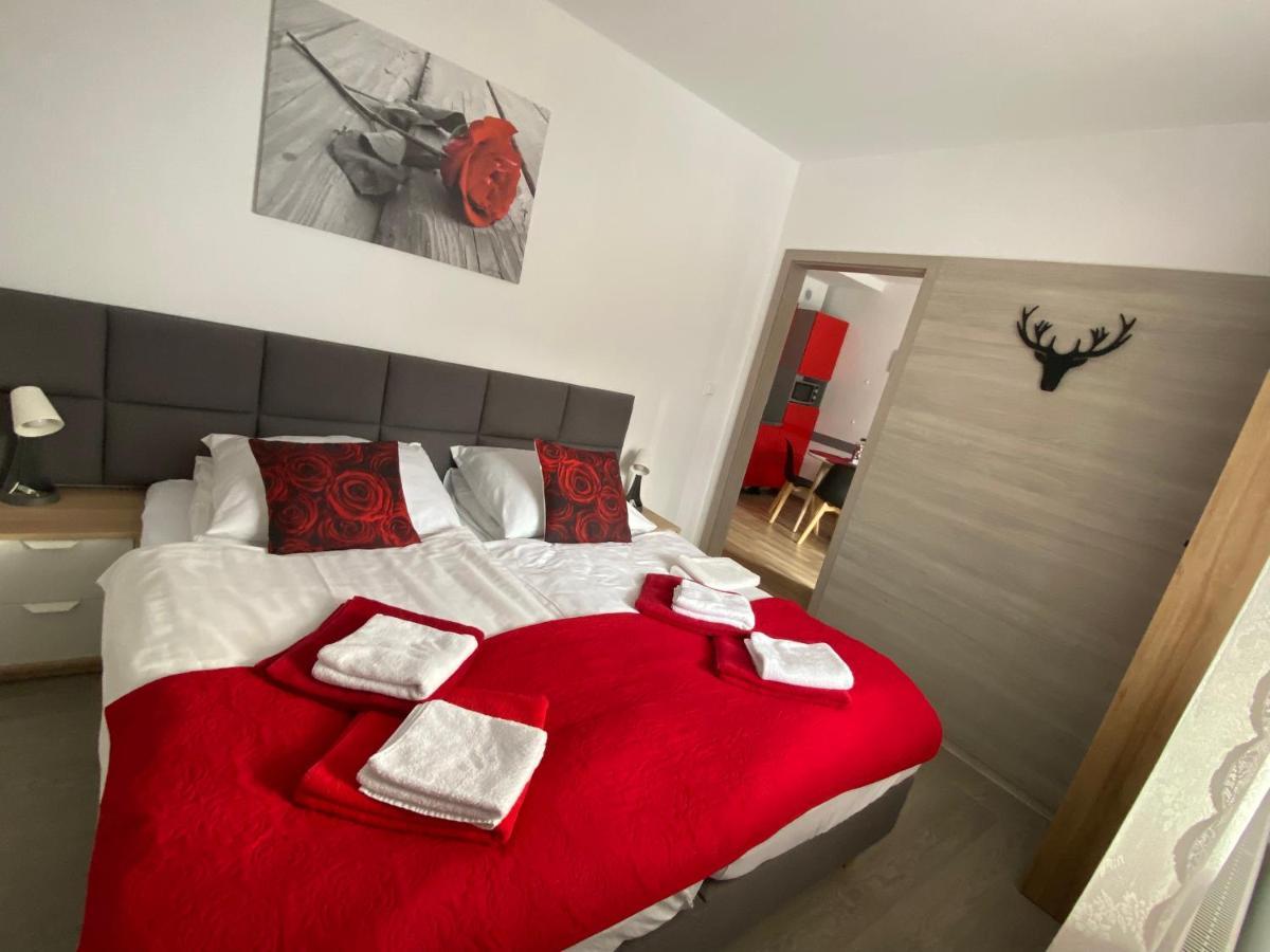שייננה Apartamenty Pod Rudka Czarna Gora Agroturystyka מראה חיצוני תמונה