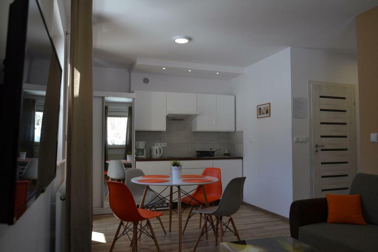 שייננה Apartamenty Pod Rudka Czarna Gora Agroturystyka מראה חיצוני תמונה